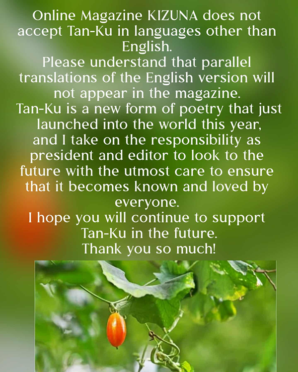 2025_11_17_KIZUNA_submission_rules.png 2025_11_17_KIZUNA_submission_rules.png